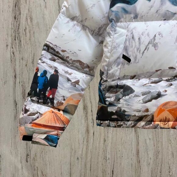 The North Face Down Jacket - Picture 3 of 8